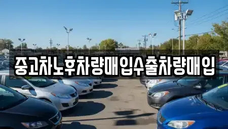 충청북도 보은군 수한면 중고차 전문 중고차노후차량매입수출차량매입