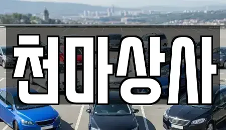 충청북도 보은군 수한면 중고차 전문 천마상사