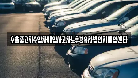 충청북도 보은군 수한면 중고차매입 전문 수출중고차수입차매입사고차노후경유차법인차매입센타