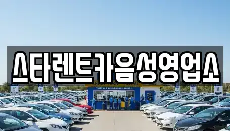 충청북도 음성군 렌트카 전문 스타렌트카음성영업소