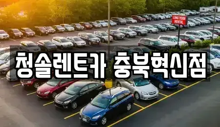 충청북도 음성군 맹동면 렌트카 전문 청솔렌트카 충북혁신점