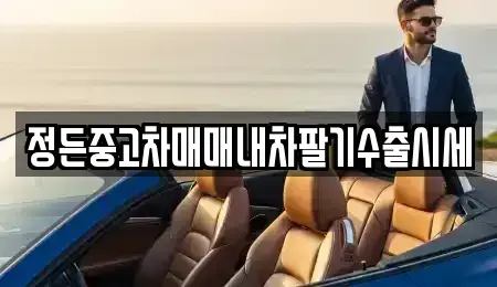 충청북도 음성군 맹동면 중고차 전문 정든중고차매매내차팔기수출시세