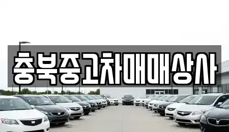 충청북도 음성군 맹동면 중고차 전문 충북중고차매매상사