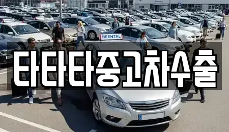 충청북도 음성군 맹동면 중고차 전문 타타타중고차수출