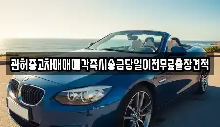 충청북도 음성군 맹동면 중고차매매 전문 관허중고차매매매각즉시송금당일이전무료출장견적
