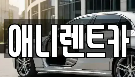 충청북도 음성군 장기렌트카 전문 애니렌트카