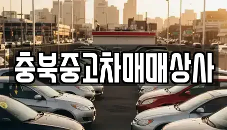충청북도 음성군 중고차매매,단기렌트카,중고차매입,장기렌트카,중고차,렌트카