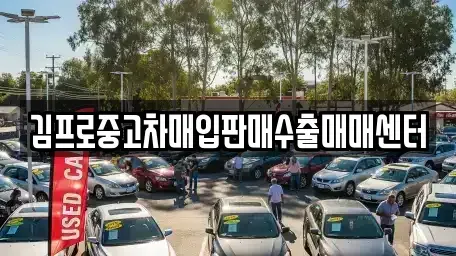 충청북도 음성군 중고차매입 전문 김프로중고차매입판매수출매매센터