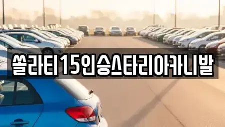 충청북도 제천시 백운면 렌트카 전문 쏠라티15인승스타리아카니발