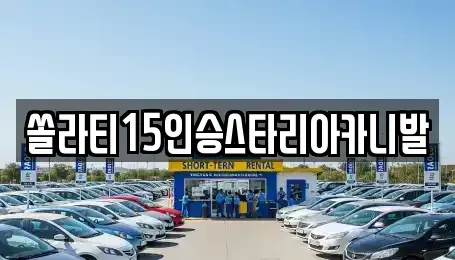 충청북도 제천시 송학면 렌트카 전문 쏠라티15인승스타리아카니발