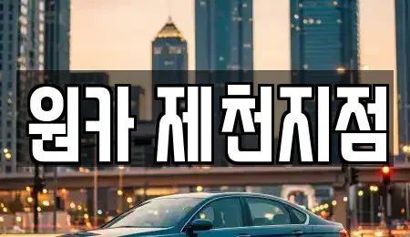 충청북도 제천시 송학면 렌트카 전문 원카 제천지점