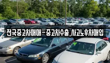 충청북도 청주시 서원구 산남동 중고차 전문 전국중고차매매-중고차수출,사고노후차매입