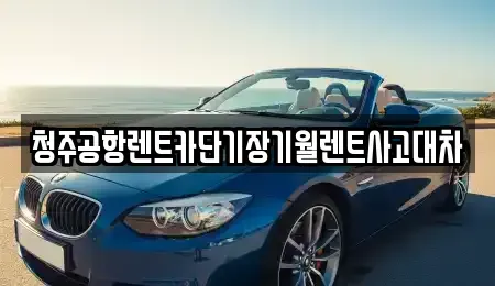 충청북도 청주시 서원구 성화동 장기렌트카 전문 청주공항렌트카단기장기월렌트사고대차