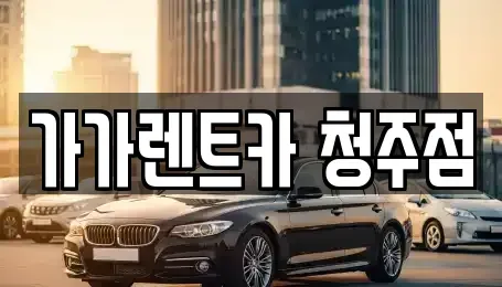 충청북도 청주시 청원구 내덕동 장기렌트카 전문 가가렌트카 청주점