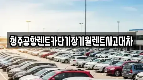 충청북도 청주시 청원구 내덕동 장기렌트카 전문 청주공항렌트카단기장기월렌트사고대차