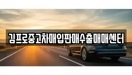 충청북도 청주시 청원구 내덕동 중고차매입 전문 김프로중고차매입판매수출매매센터