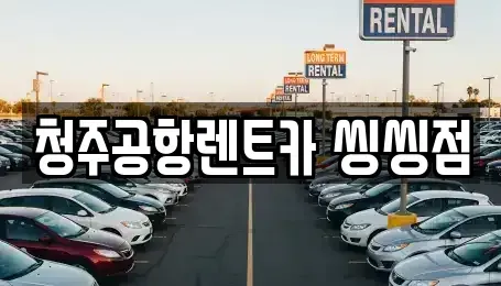 충청북도 청주시 청원구 사천동 렌트카 전문 청주공항렌트카 씽씽점