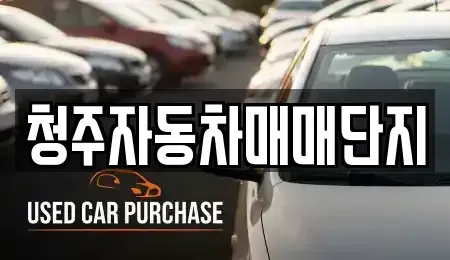 충청북도 청주시 청원구 사천동 중고차매매 전문 청주자동차매매단지