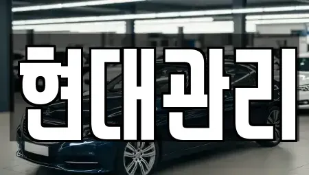 충청북도 청주시 흥덕구 강내면 렌트카 전문 현대관리