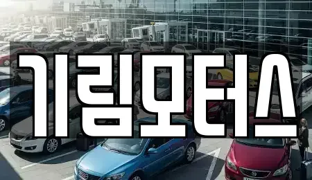 충청북도 청주시 흥덕구 강내면 중고차매매 전문 기림모터스