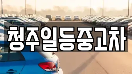 충청북도 청주시 흥덕구 강내면 중고차매매 전문 청주일등중고차