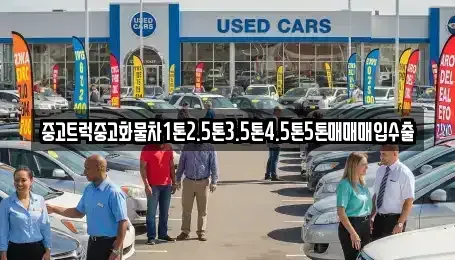 충청북도 청주시 흥덕구 강내면 중고차매입 전문 중고트럭중고화물차1톤2.5톤3.5톤4.5톤5톤매매매입수출