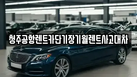 충청북도 청주시 흥덕구 상신동 단기렌트카,중고차매입,중고차매매,중고차,렌트카,장기렌트카
