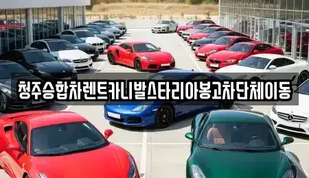 충청북도 청주시 흥덕구 상신동 렌트카 전문 청주승합차렌트카니발스타리아봉고차단체이동