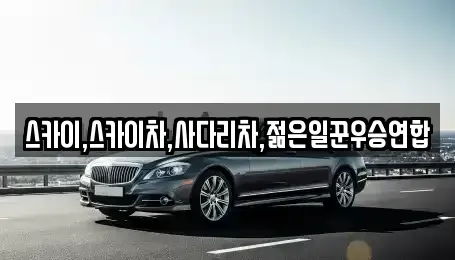 충청북도 청주시 흥덕구 상신동 중고차매입 전문 스카이,스카이차,사다리차,젊은일꾼우승연합