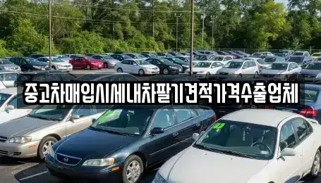충청북도 청주시 흥덕구 상신동 중고차매입 전문 중고차매입시세내차팔기견적가격수출업체