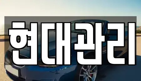 충청북도 청주시 흥덕구 정봉동 렌트카 전문 현대관리
