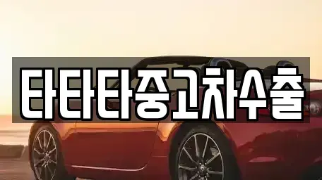 충청북도 충주시 엄정면 중고차 전문 타타타중고차수출