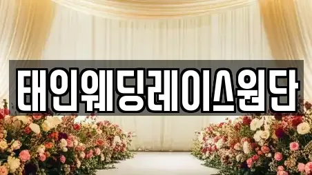 태인웨딩레이스원단